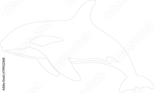 killer whale outline