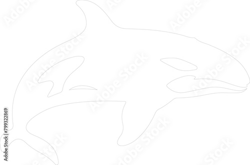 killer whale outline