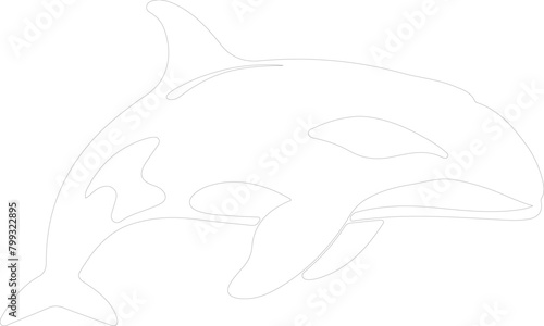 killer whale outline