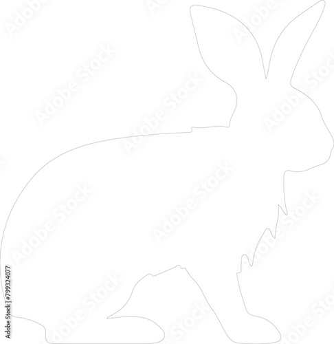 lagomorph outline