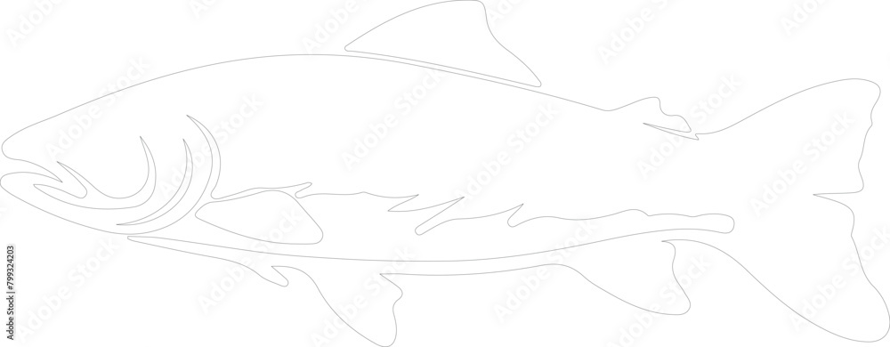 lake trout outline lake trout outline