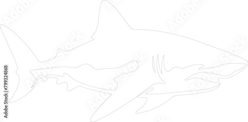 lemon shark outline