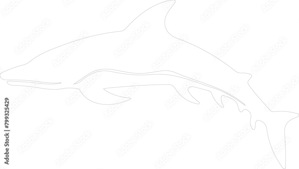 Liopleurodon outline Liopleurodon outline