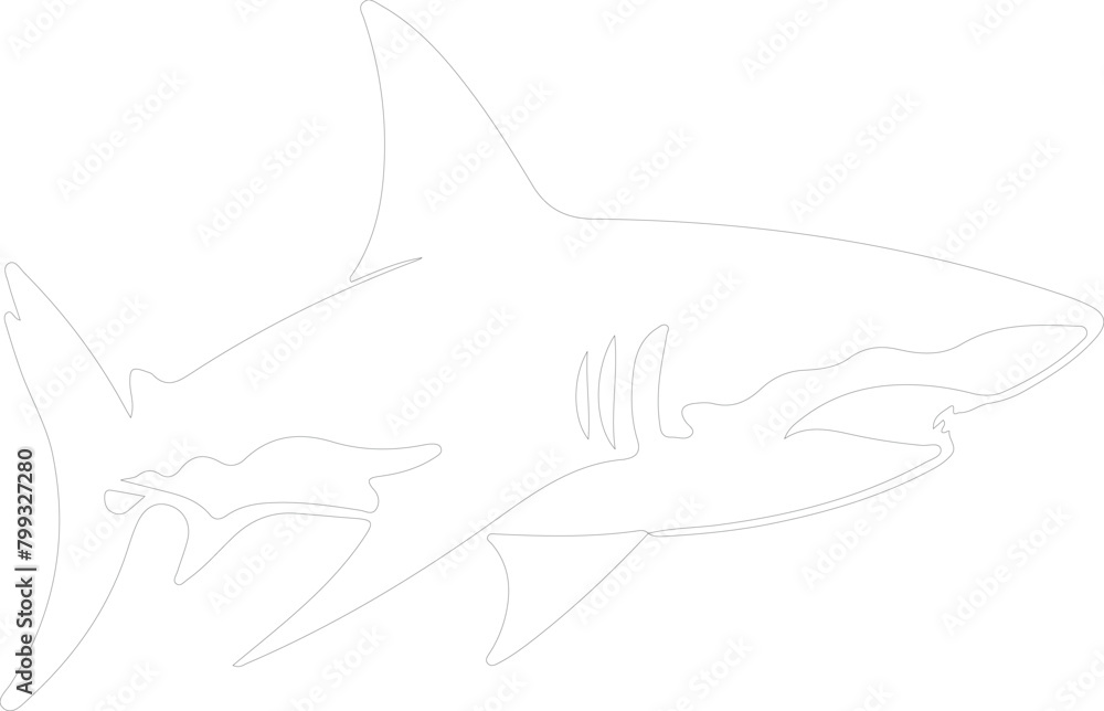 luminous shark outline luminous shark outline