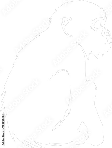 macaque outline