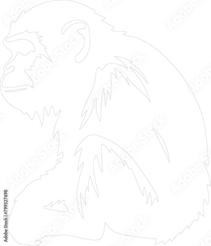 macaque outline
