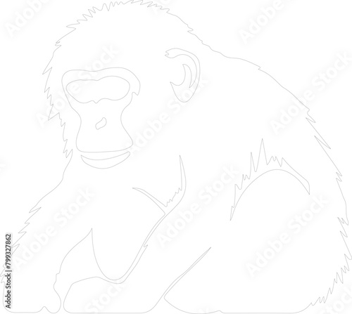macaque outline