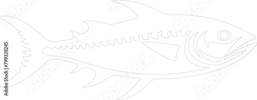 mackerel outline
