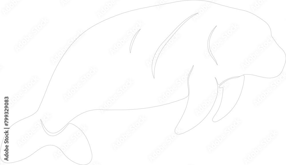 manatee outline manatee outline