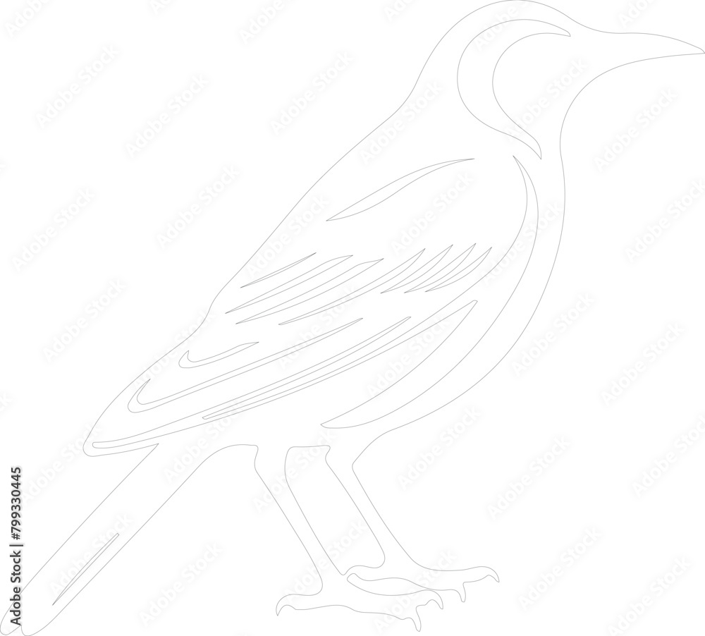 meadowlark outline meadowlark outline