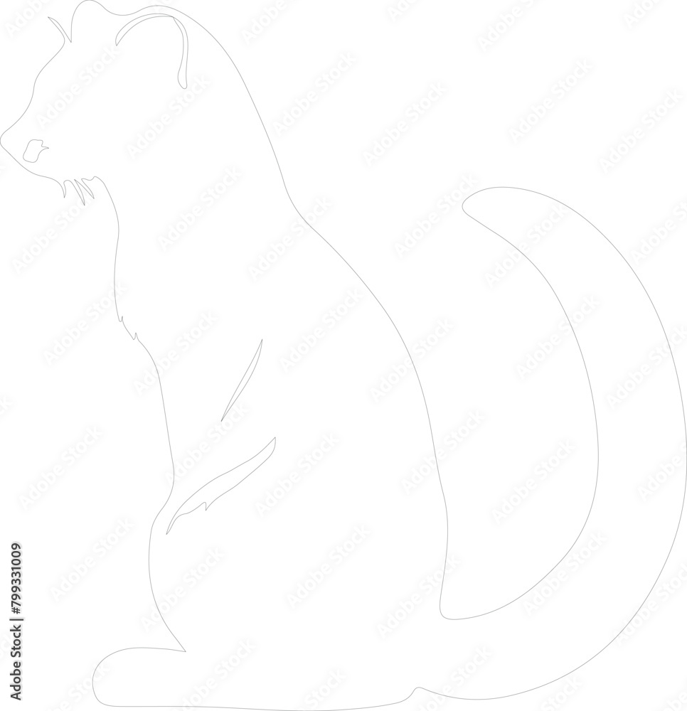 mink outline mink outline