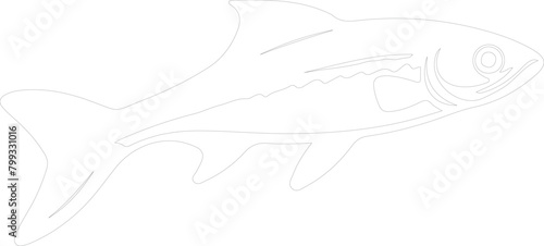 minnow outline