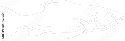 minnow outline