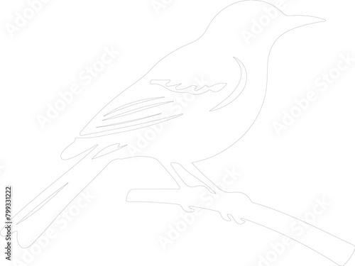 mockingbird outline