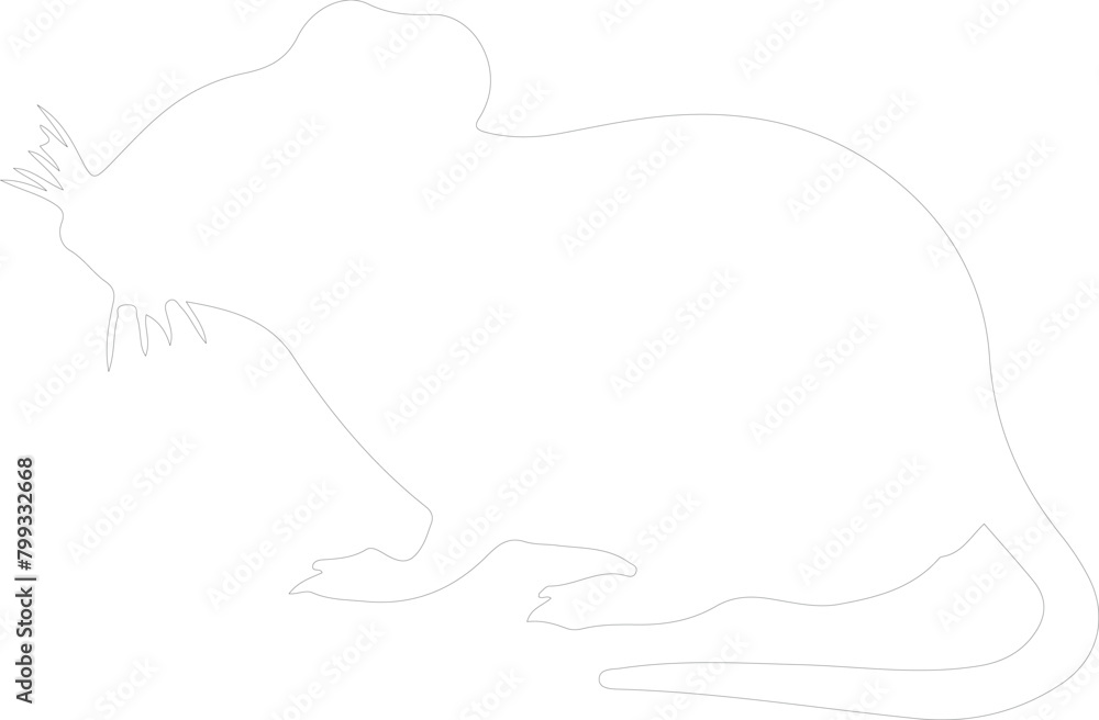 mouse outline mouse outline