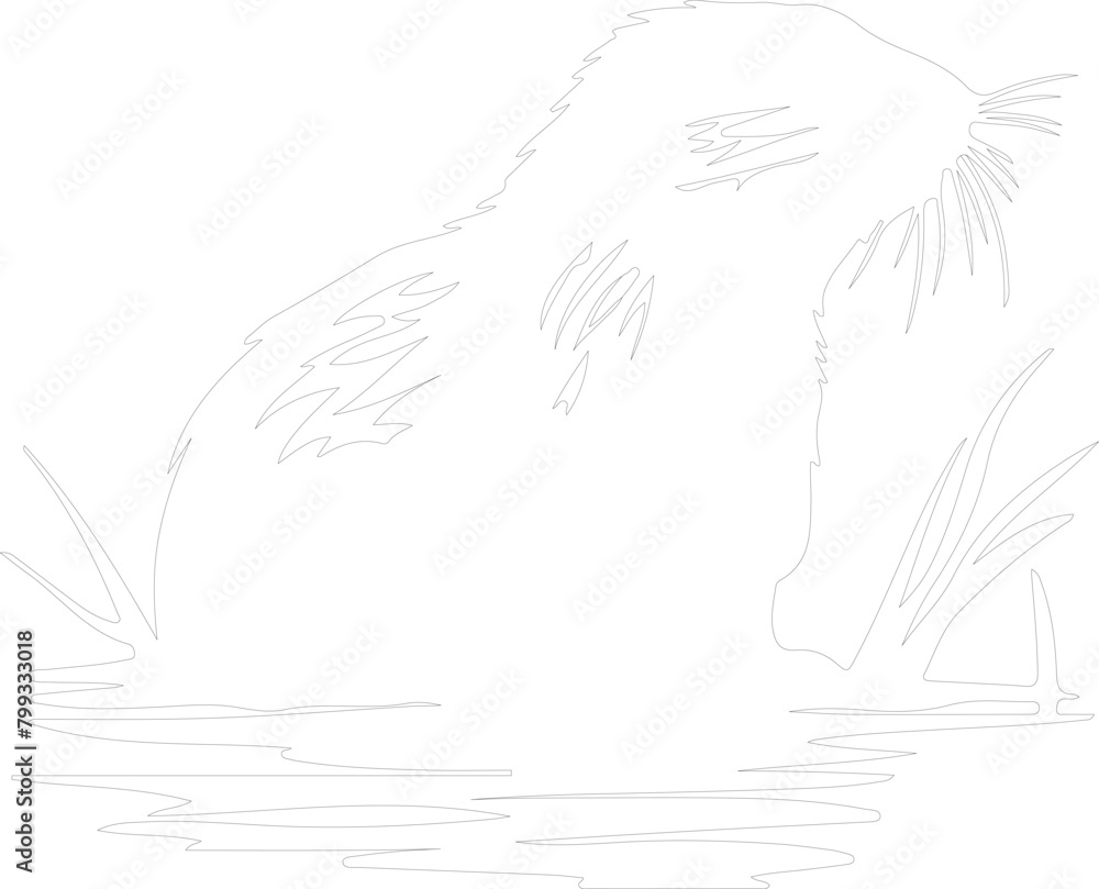 muskrat outline muskrat outline