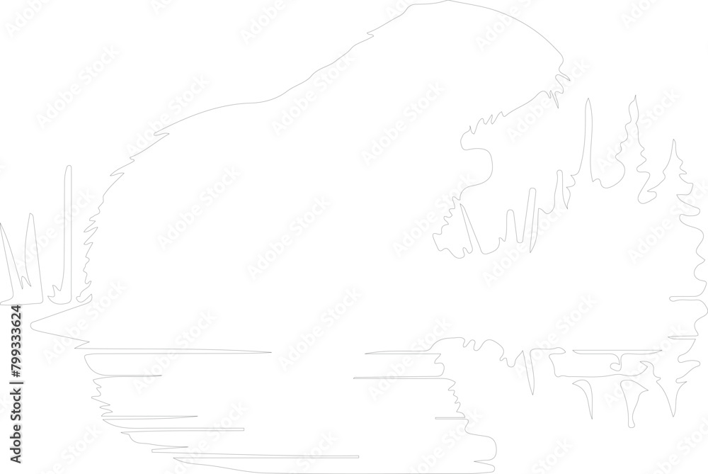 Obraz premium North American beaver outline