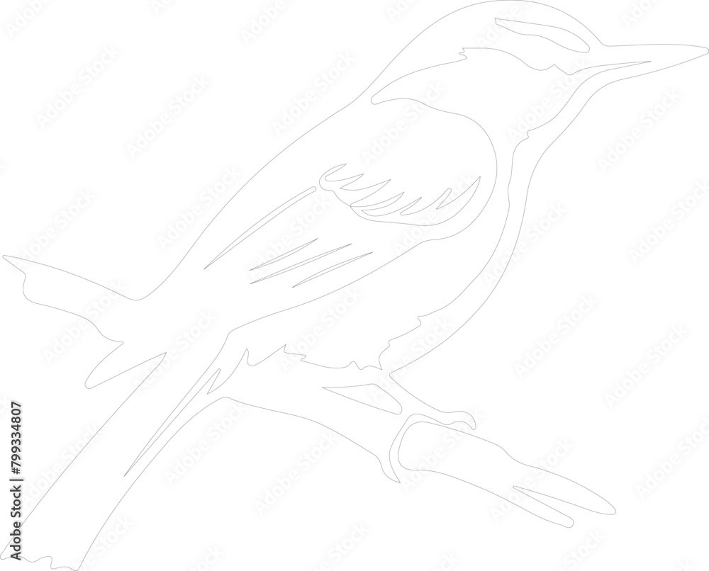 nuthatch outline