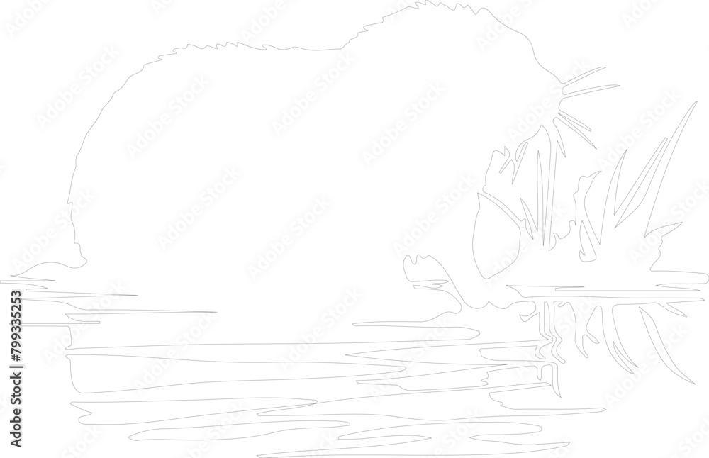 Naklejka premium nutria outline