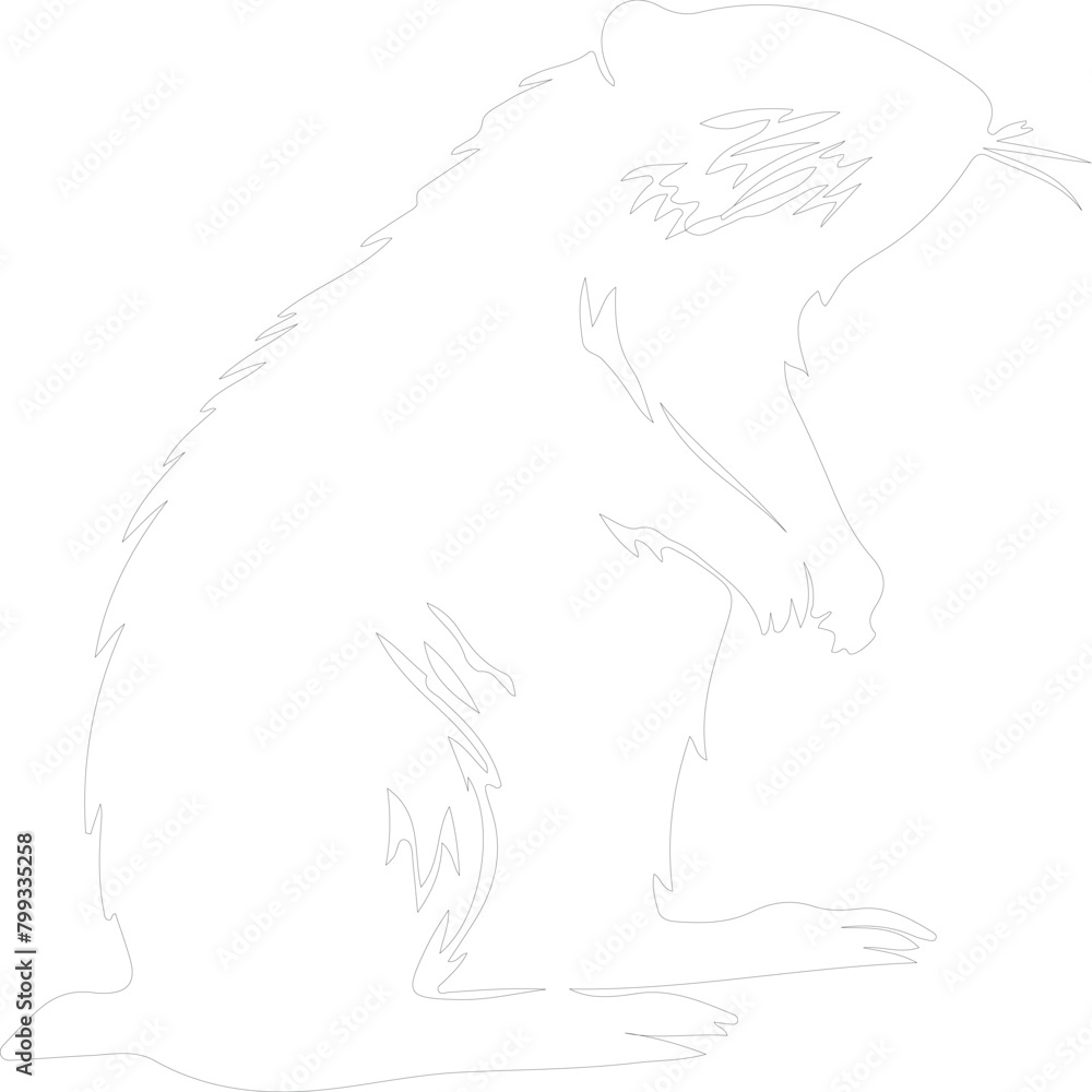 nutria outline