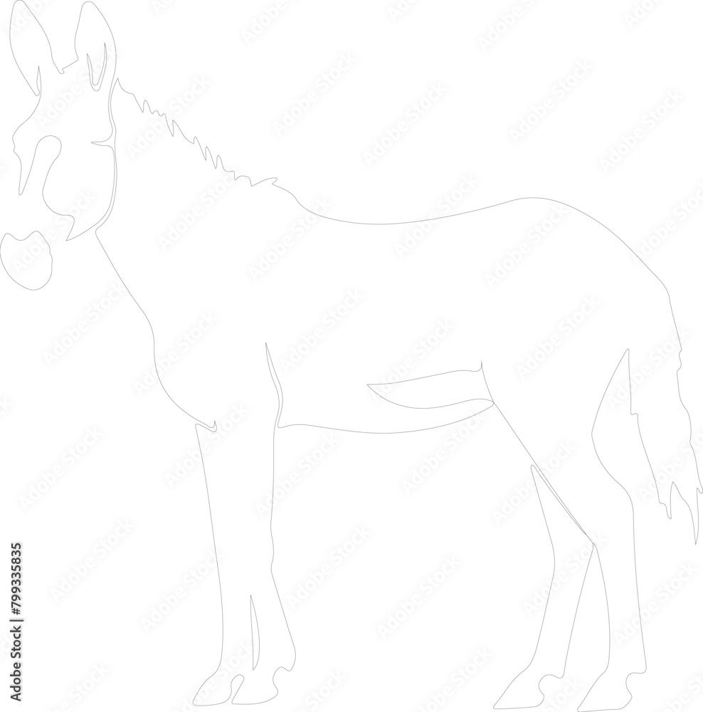Obraz premium onager outline