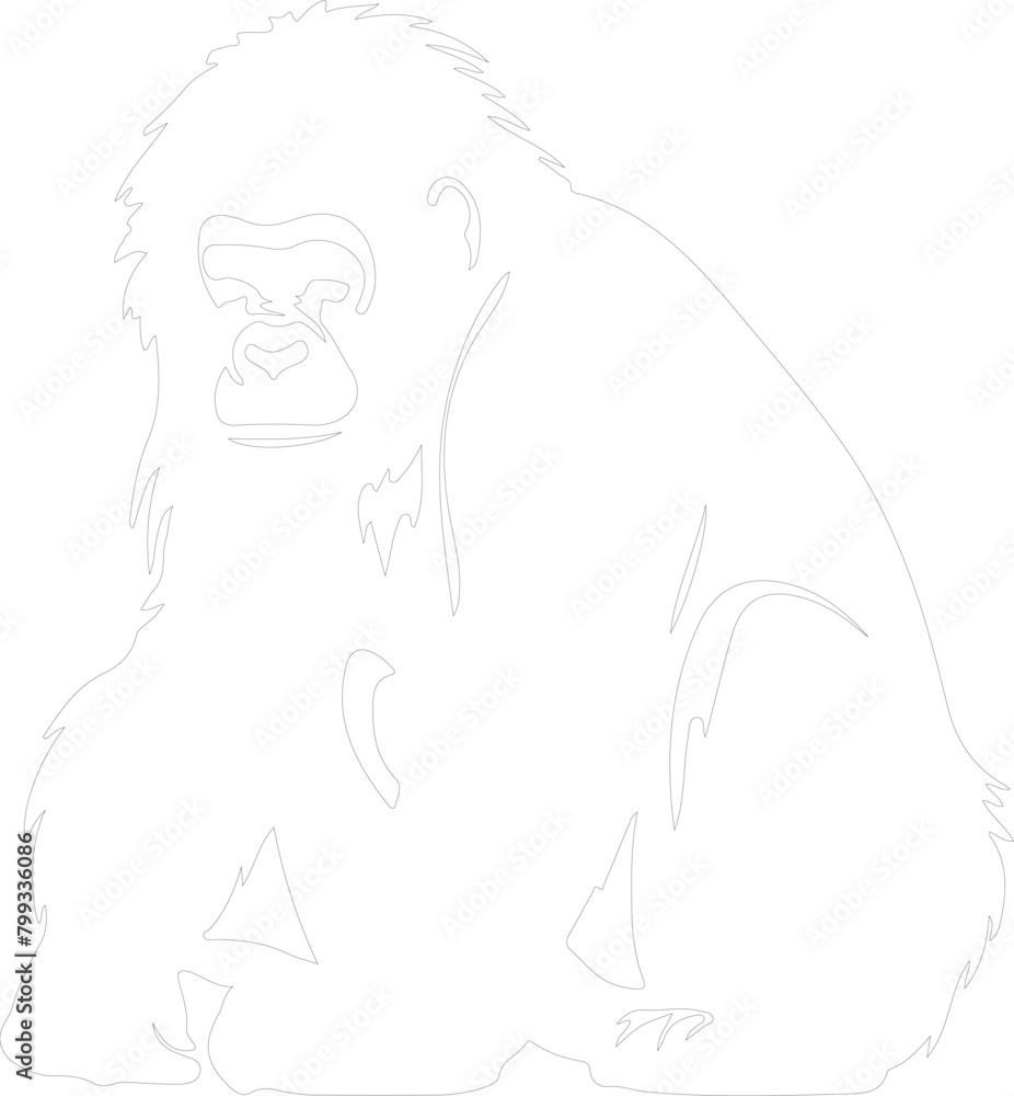 orangutan outline orangutan outline