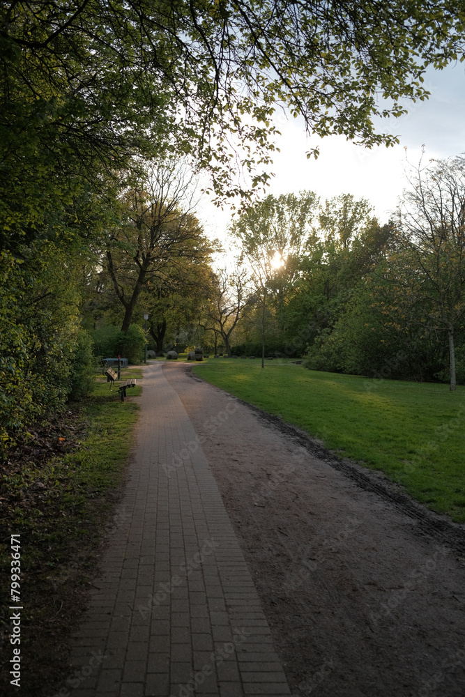 Fototapeta premium North German Park at sunset