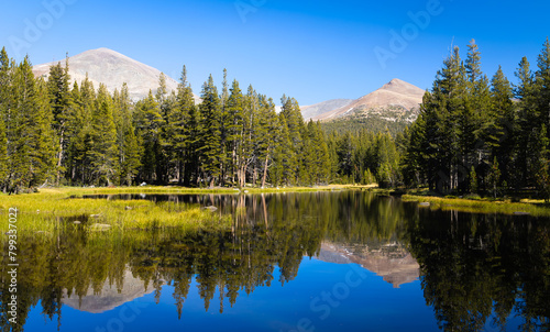 Eine Fahrt durch den Yosemite Nationalpark photo