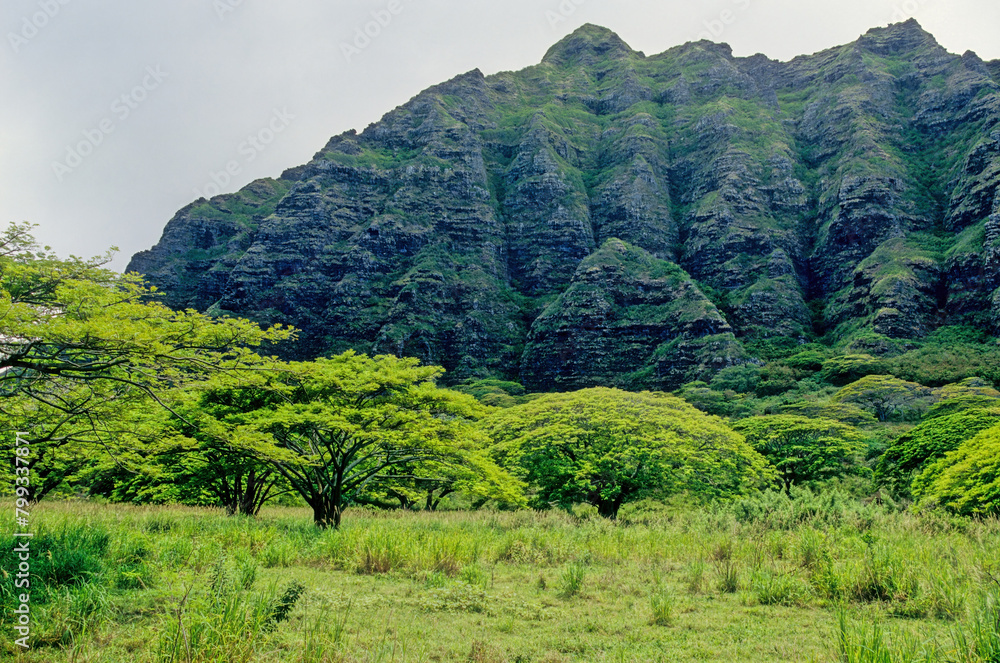 Naklejka premium Koʻolau Range