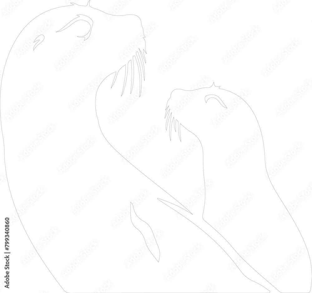 pinnipeds outline