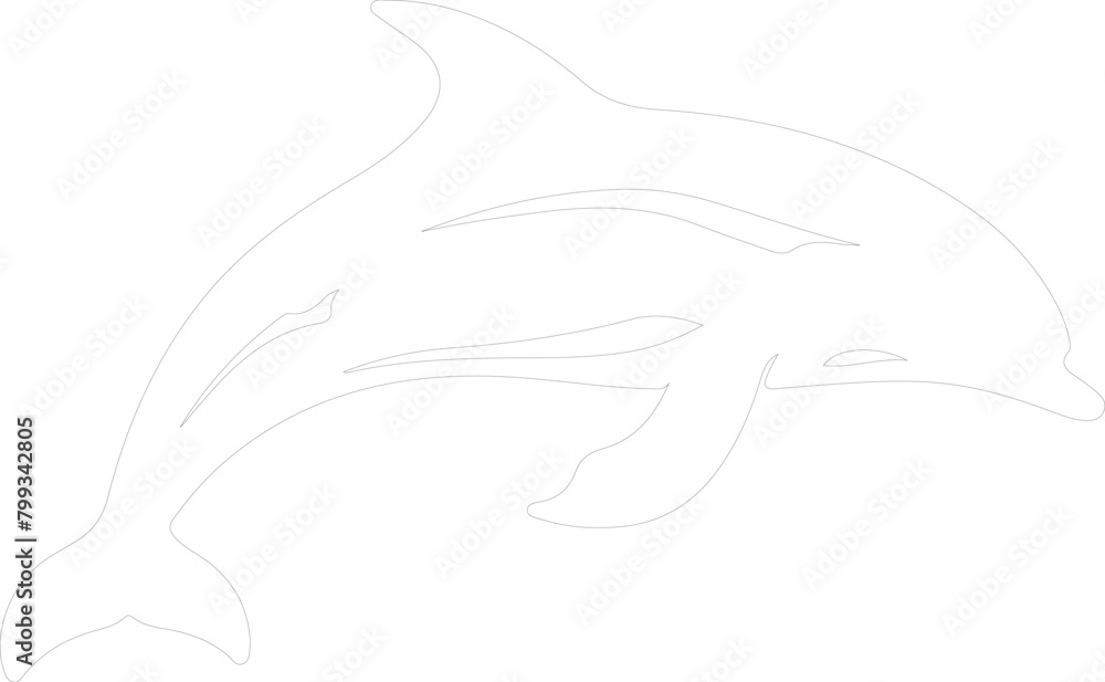 Fototapeta premium porpoise outline