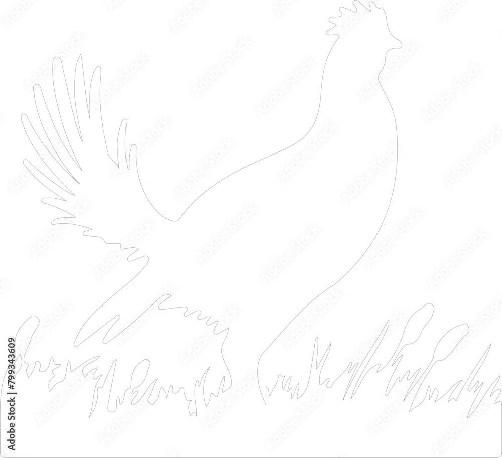 prairie chicken outline prairie chicken outline