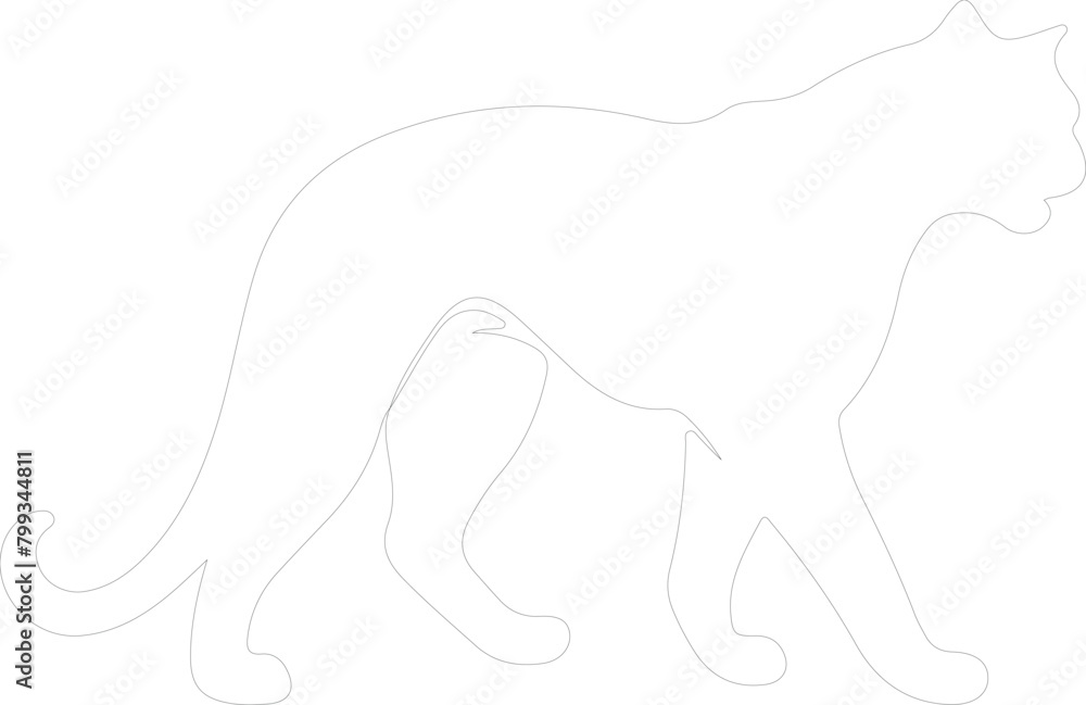 Obraz premium puma outline