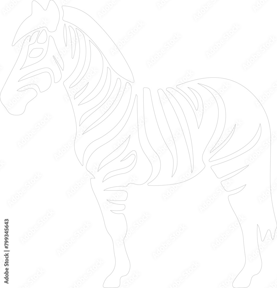 Obraz premium quagga outline