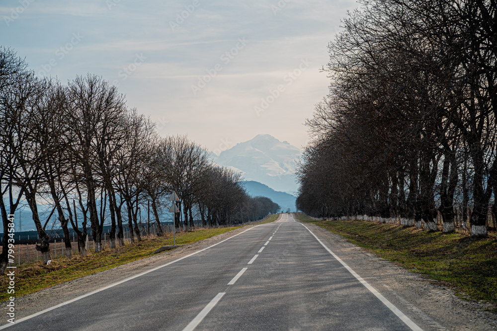 Fototapeta premium a straight asphalt scenic road to the mountains with a view of the snow-capped tops of the mountains and a blue sky with clouds and along the road there are autumn bare sad sad trees