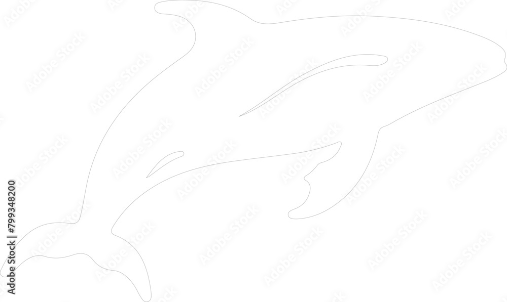 right whale outline right whale outline