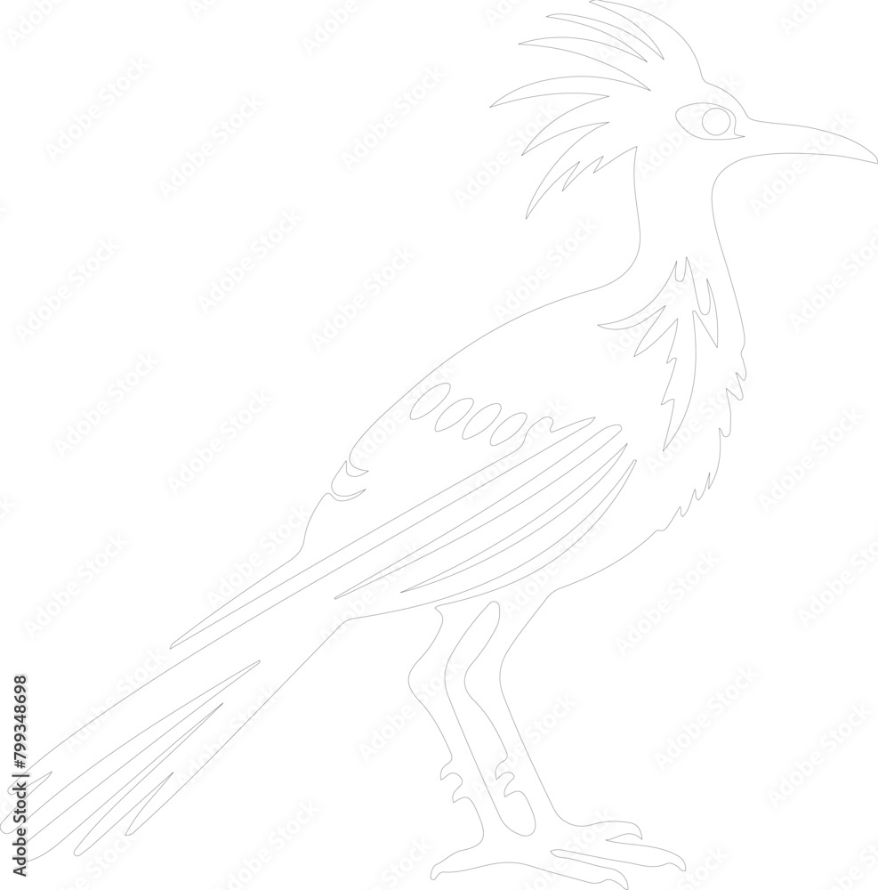 roadrunner outline