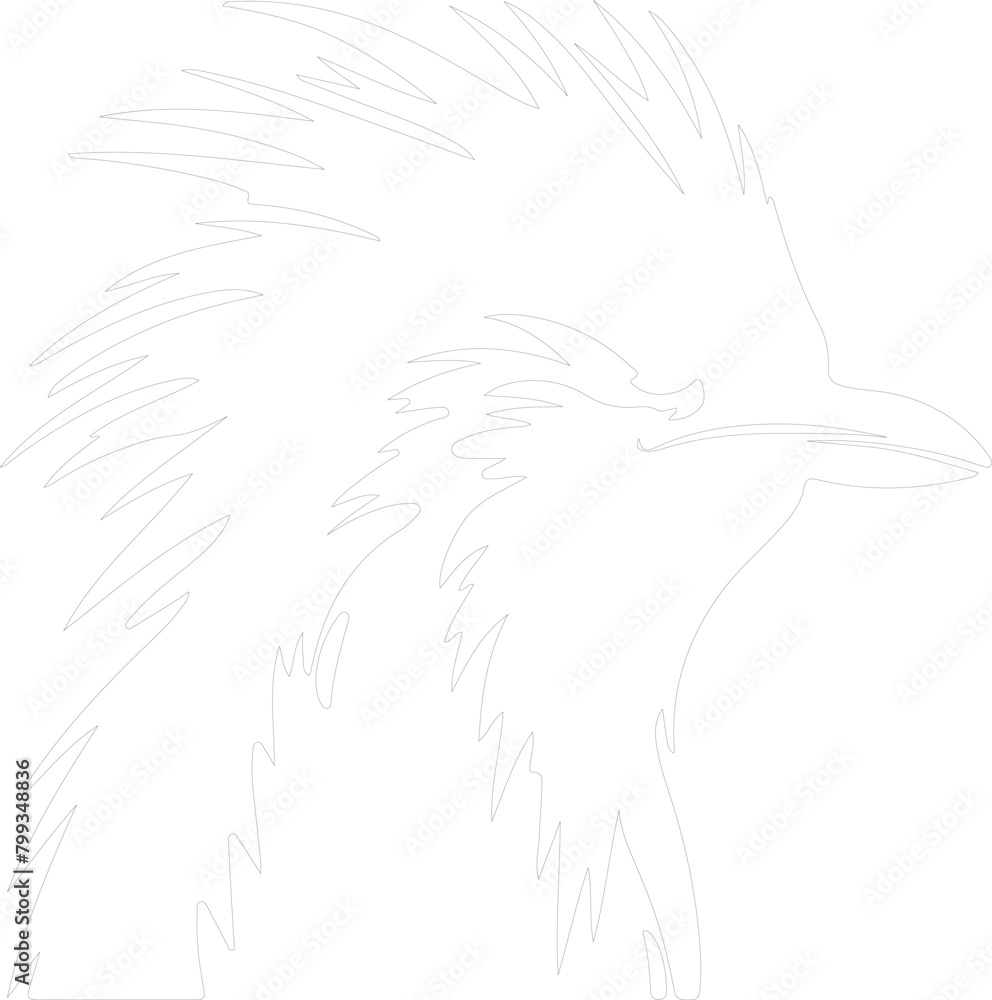 rockhopper penguin outline rockhopper penguin outline