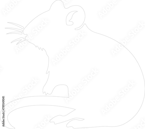 rodent outline