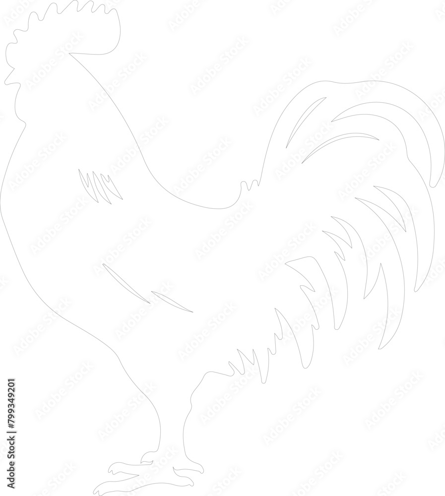 rooster outline rooster outline