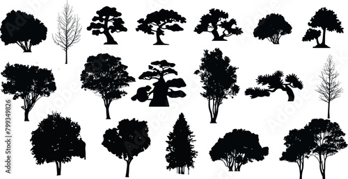 silhouette tree line drawing set, Side view, set of graphics trees elements outline symbol for architecture and landscape design drawing	