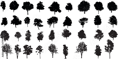 silhouette tree line drawing set, Side view, set of graphics trees elements outline symbol for architecture and landscape design drawing	 photo