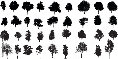 silhouette tree line drawing set, Side view, set of graphics trees elements outline symbol for architecture and landscape design drawing	