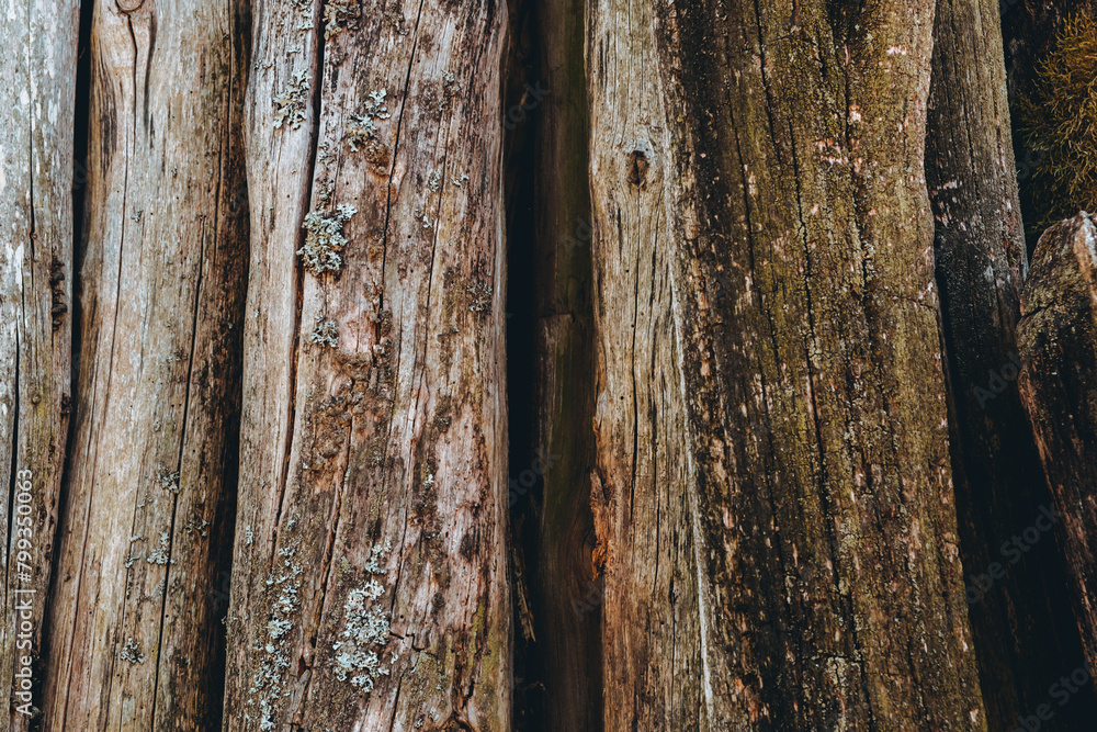 Brown wooden background. Aged logs with bark and lichen. Vertical texture. Rustic style. Weathered wood boards. Striped banner. Natural material Brown wooden background. Aged logs with bark and lichen. Vertical texture. Rustic style. Weathered wood boards. Striped banner. Natural material