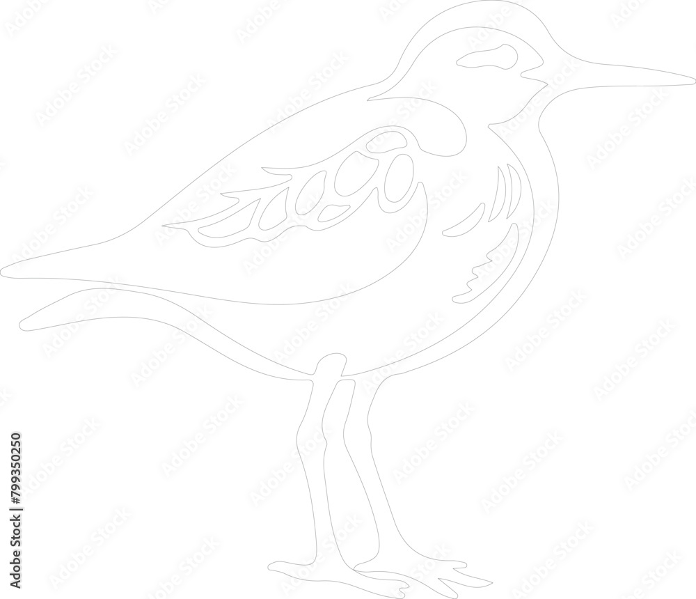 sandpiper outline sandpiper outline