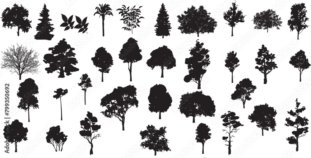 tree, vector, forest, oak, architecture, line, plant, landscape, black ...
