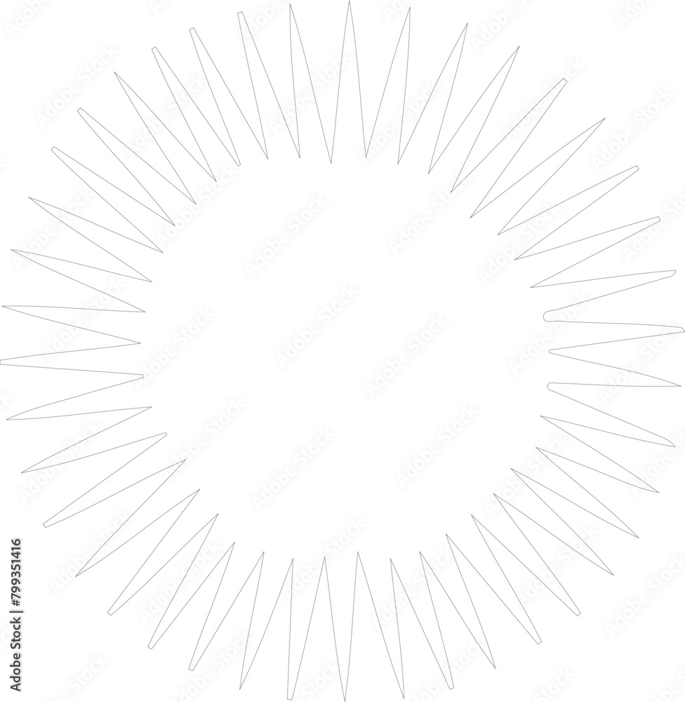 sea urchin outline