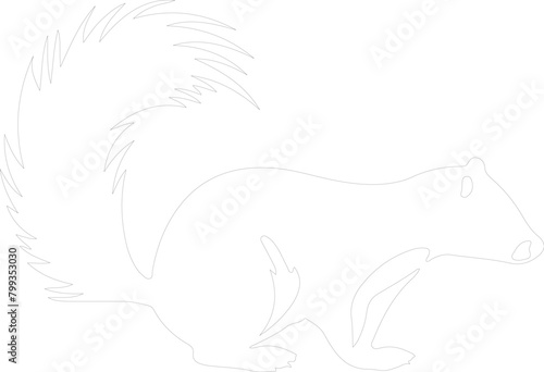skunk outline