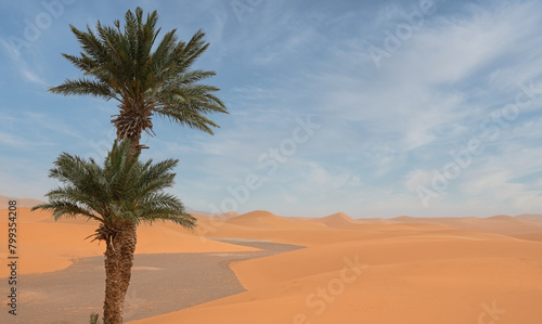 Ouzina desert landskape in Morocco  photo