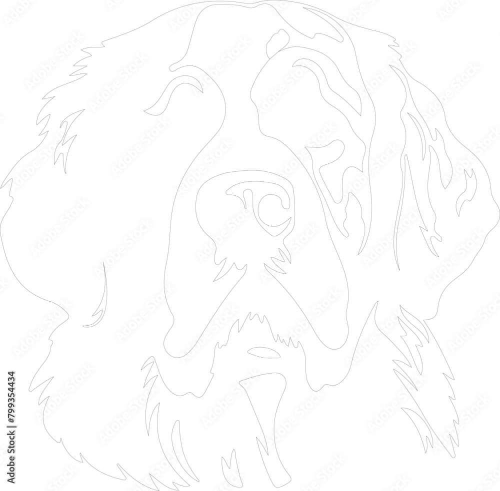 St. Bernard outline St. Bernard outline